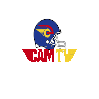 Football Sticker by Camioneros de Coslada