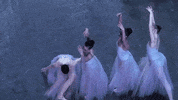 dance GIF by New York City Ballet