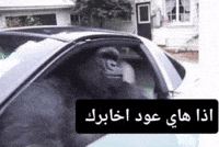 Usa Mc GIF by Bashar