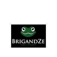 Brigandze Sticker by Belgium Rugby