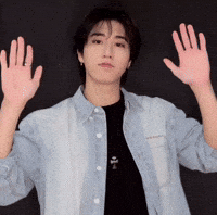 Stray Kids Skz GIF