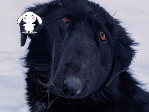 Germany Wow GIF by FranchiseCHECK.de