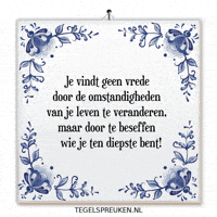 Humor Nl GIF by Tegelspreuken.nl