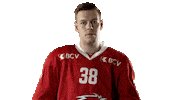 Lhc Lausannehc Sticker by Lausanne Hockey Club