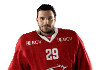 Lhc Lausannehc Sticker by Lausanne Hockey Club