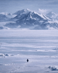 Freedom Mountains GIF
