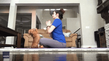 Dogs Yoga GIF by Storyful