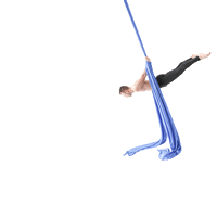 aerialphysique aerialphysique Sticker