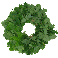 crown solstice Sticker by Latvijas Mobilais Telefons