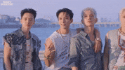 세븐틴 Coups GIF