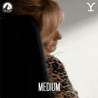 Spinning Around Kind Of GIF by Yellowstone