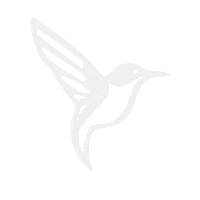 This Is Me Now Hummingbird Sticker by Jennifer Lopez