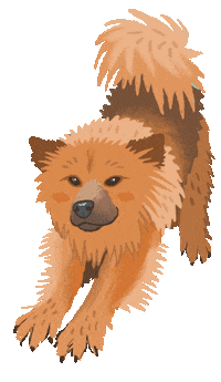 Happy Downward Dog Sticker