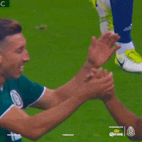 el tri soccer GIF by La Suerte No Juega