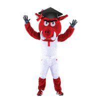 Arkansas Razorbacks Grad Sticker by Arkansas Alumni Association