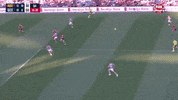 Round 1 Afl GIF by Adelaide Crows