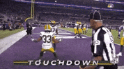 2018 Nfl Football GIF by NFL