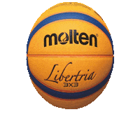 Basketball Basket Sticker by Molten México