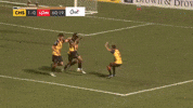 Happy South Carolina GIF by Charleston Battery