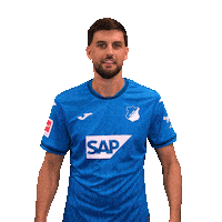 Florian Grillitsch Sport Sticker by TSG Hoffenheim