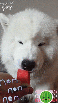 Water Snack GIF