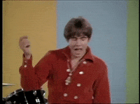 Happy Davy Jones GIF by The Monkees