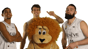 Basketball Basket Sticker by Lions de Genève