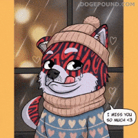 Shiba Inu Love GIF by Doge Pound