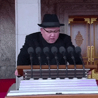North Korea GIF by euronews