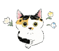 zoratsaiyt happy cat flower gigi Sticker