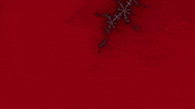 Benoit Mandelbrot Lsd GIF by xponentialdesign