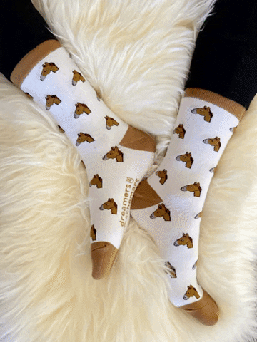 Horses Socks GIF by Dreamers & Schemers