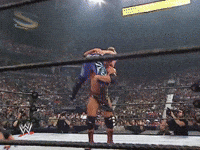 wwe sports wwe wrestling summerslam GIF