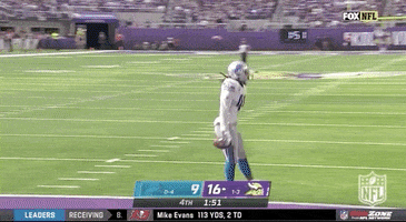 Detroit Lions Football GIF by NFL