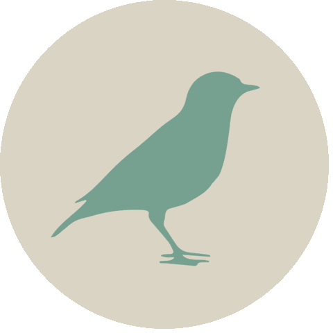 Vogel Miek Sticker by dianafloridas