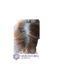 Ayurveda Biocosmesi Sticker by CosmesiEcobio shoponline