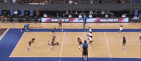 Volleyball Texas GIF by NCAA Championships