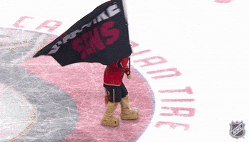 Happy Ottawa Senators GIF by NHL