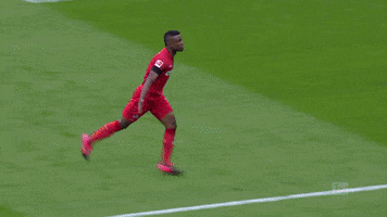 1 Fc Cologne Football GIF by 1. FC Köln