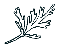 Summit2020 Sticker by Sseko Designs