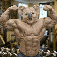 노무현 GIF