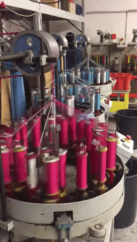 rinoteca giphygifmaker GIF
