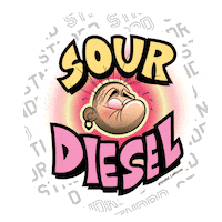 stndrdcompany stndrd theultimatestndrd Sticker