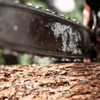 Tree Removal Service GIF by Oi