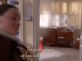season 1 netflix GIF by Gilmore Girls 