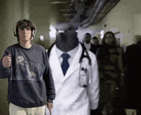 Bird Pigeon GIF