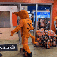 Major League Soccer Dancing GIF by Houston Dynamo