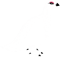 Krot Sticker