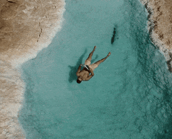 Travelling World Travel GIF by Black Women Love Dogs