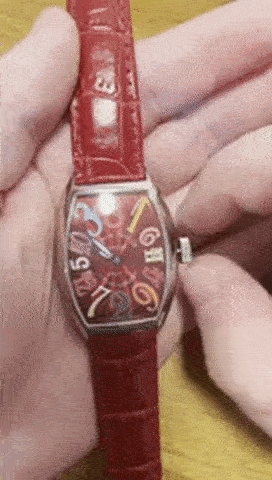 primulax giphyupload GIF